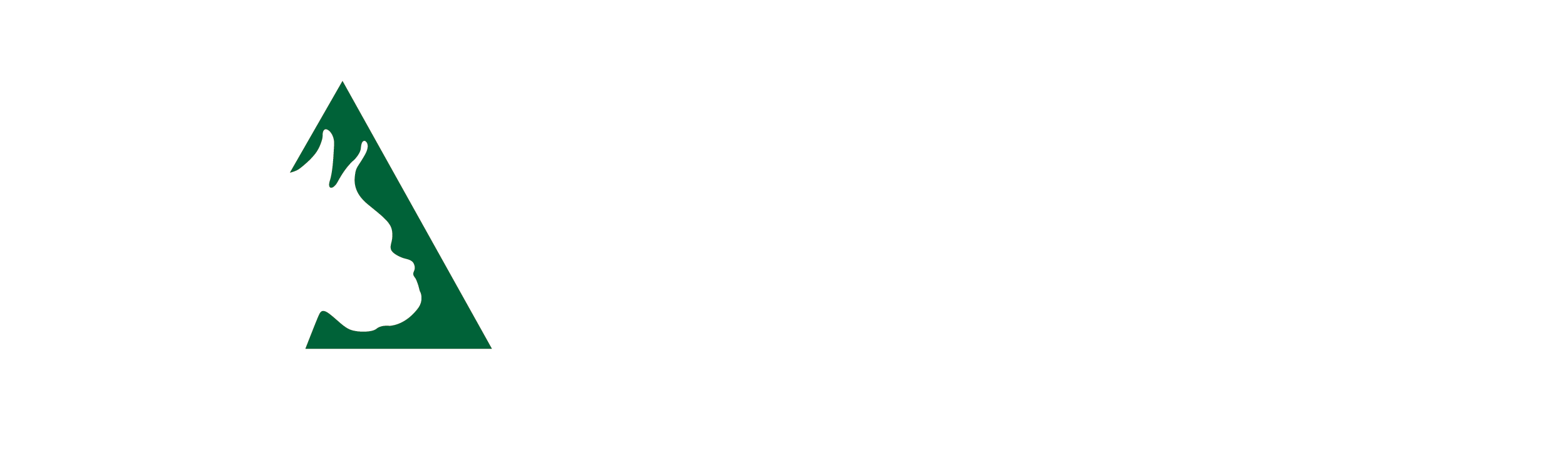 Clinica Pet São Lazaro